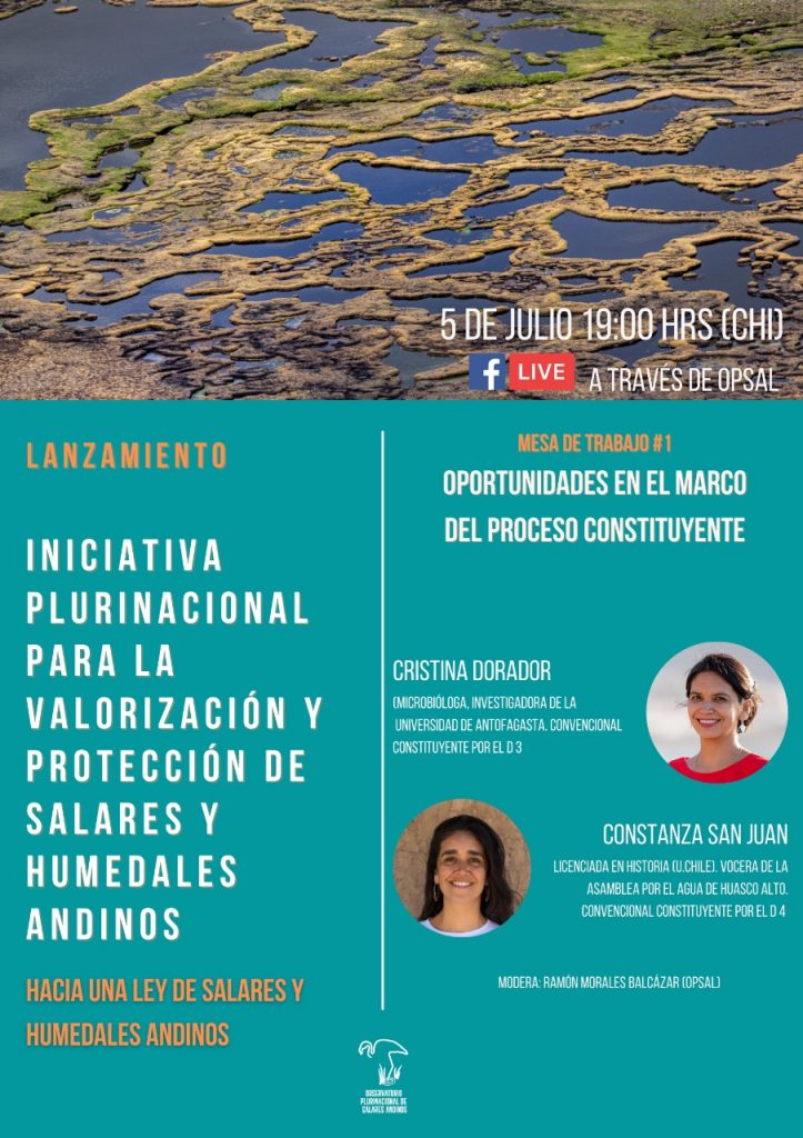 Discutirán oportunidades para proteger salares andinos y humedales en la nueva Constitución