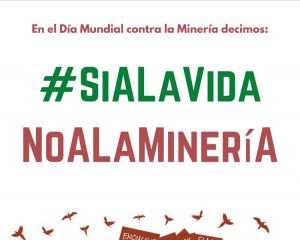 Declaración frente al Greenwashing Minero en el Salar de Atacama